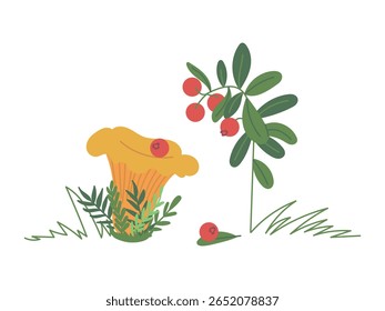 Lindo amarelo cogumelo de Chanterelle na grama com ramo de oxicoco isolado no fundo branco. Cogumelo comestível saboroso como um símbolo da caça silenciosa, outono, floresta, ícone. Ilustração em plano vetorial