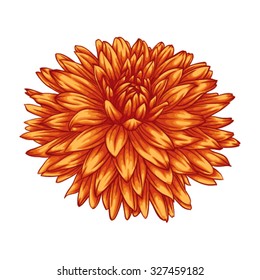 beautiful yellow dahlia isolated on white background. for greeting cards and invitations of the wedding, birthday, Valentine's Day, mother's day and other seasonal holidays