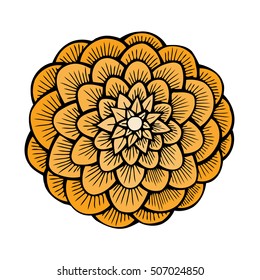 beautiful yellow dahlia isolated on white background. for greeting cards and invitations of the wedding, birthday, Valentine's Day, mother's day and other seasonal holidays