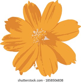 Beautiful yellow daisy flower vector.