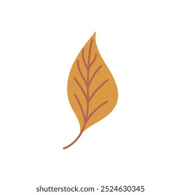Hermosa hoja de laurel que cae de color amarillo. haya, castaño, aliso aislado sobre fondo blanco. Vector dibujado a mano ilustración de color plano. Icono del otoño, símbolo, diseño del follaje, etiqueta engomada