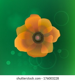 Beautiful Yellow Flower. Vector Flower