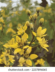 plantilla de acuarela de ilustraciones de vectores de flores amarillas