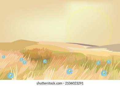 Beautiful yellow grass scene when the sun will down