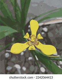 ilustración de vector de flor de iris amarillo hermoso plantilla de acuarela
