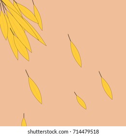 beautiful yellow leaves easily fall from mighty tree branches