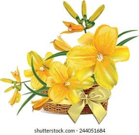 Beautiful yellow lilies on a white background