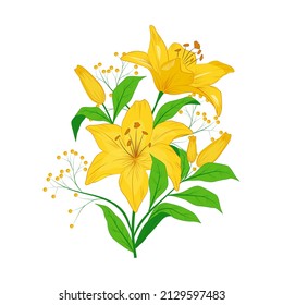 Beautiful yellow lily flowers vector design illustration on white background.