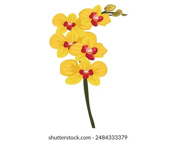 un hermoso Vector de flores de orquídea amarilla