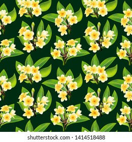 Beautiful yellow plumeria frangipani tropical flowers seamless floral summer pattern vector background. Perfect for wallpapers, web page backgrounds, surface textures, textile.