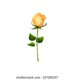 Beautiful Yellow Rose. Isolated Vector Illustration.