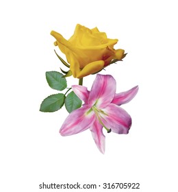  Beautiful  yellow rose and lily isolated on white background. Photo realistic vector illustration.
 