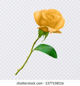 Beautiful yellow rose on long stem with leaf and thorns isolated on white background, decoration for your design, photo realistic vector illustration.