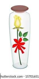 Beautiful Yellow Rose with Red Ribbon and Bow in A Tall Glass Jar, Flower Is A Perfect Romantic Gift or Present for Someone Special. 