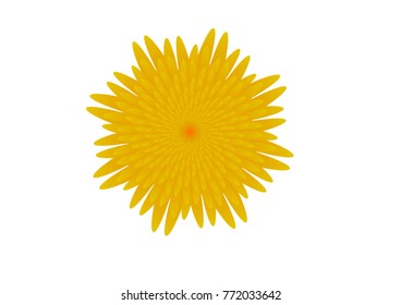 beautiful yellow sunflower