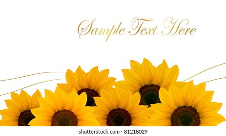 Beautiful yellow sunflower background. Vector.