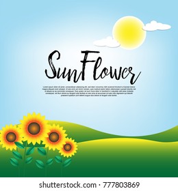 beautiful Yellow sunflower on garden summer landscape with sun.vector illustration.copy space for text