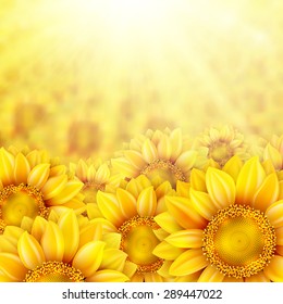 Beautiful yellow sunflower petals with summer sun. EPS 10 vector file included