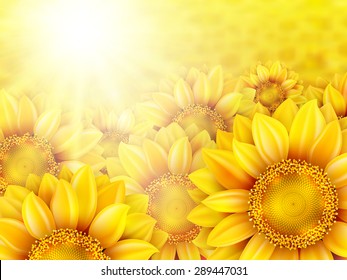 Beautiful yellow sunflower petals with summer sun. EPS 10 vector file included