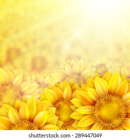 Beautiful yellow sunflower petals with summer sun. EPS 10 vector file included