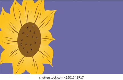 Beautiful yellow Sunflowers on white background and empty area.