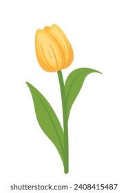 Beautiful yellow tulip blossom flowers drawing icon clip art cartoon vector illustration isolated on white background