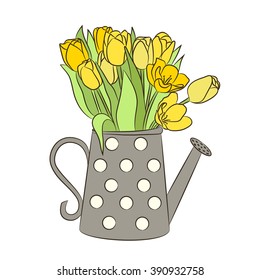 Beautiful yellow tulips in watering can. Vector illustration for spring holidays.