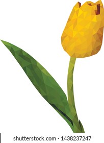 Beautiful yellow vector polygon tulip