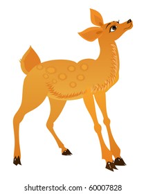 Beautiful young Deer for Your design