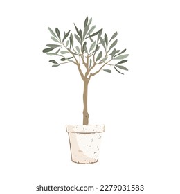 Beautiful young potted olive tree isolated on white. Vector illustration.