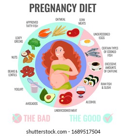 Beautiful Young Pregnant Woman. Infographics Food Information For Pregnancy. Vector