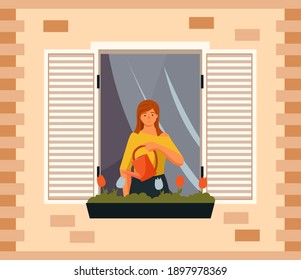 Beautiful young woman watering houseplants on the windowsill. Caring for indoor flowers vector illustration. Girl with a watering can in her hands looks at tulips in a pot near the opened window