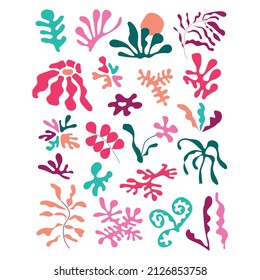 Beautifulabstract tropical flower collection of posters with flowers, leaves, floral bouquets, flower compositios.