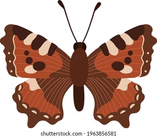 Beautifull brown red multicolored butterfly.