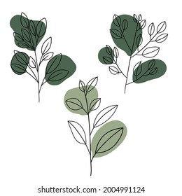 Beautifull collection of hand drawn vector floral and branches with leaves and abstract shape green color. Modern sketch collection. Decorative elements for design