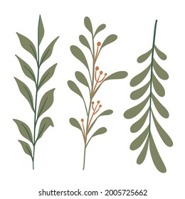 Beautifull collection of hand drawn vector floral and branches with leaves . Modern sketch collection. Decorative elements for design. Ink, vintage vector. 