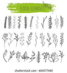 Beautifull collection of hand drawn vector floral and branches with leaves, flowers, berries. Modern sketch collection. Decorative elements for design. Ink, vintage vector.