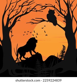 beautifull evening view in forest.sunlight ..lion owl and other birds