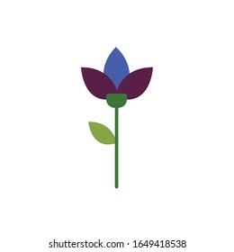 beautifull flower garden spring flat style vector illustration design