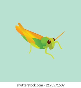 Beautifull  grasshopper vector design on a green background