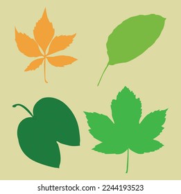 Beautifull Green Maple Leaf Clipart. This is an editable and printable vector eps file.