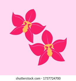 the beautifull orchid flowers vector art