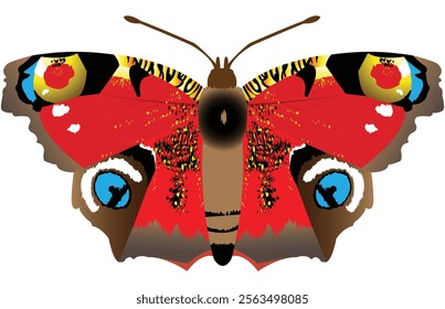 Beautifull Peacock Eye butterfly artistic design; beautifull buuterfly with colorful wings 