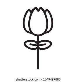 beautifull rose flower garden spring line style vector illustration design