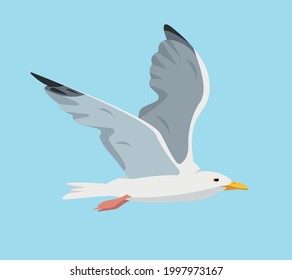 Beautifull seagull in sky. White and gray flying gull. Sea bird flat cartoon icon vector illustration.