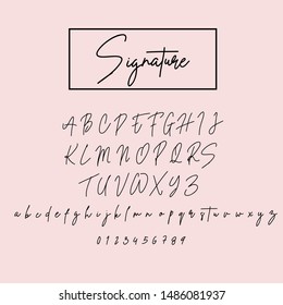 Beautifull Signature Font Alphabet Lettering Handwritten