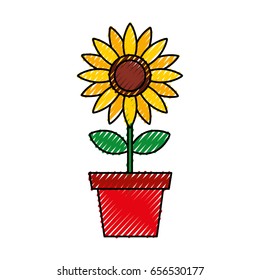 beautifull sunflower isolated icon