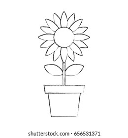 beautifull sunflower isolated icon
