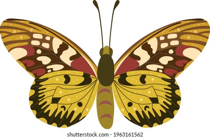 Beautifull yellow and red cartoon butterfly.