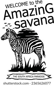 A beautifull zebra sketch isolated with white background vector illustration.